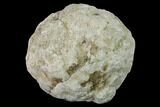 Keokuk Quartz Geode with Calcite Crystals - Iowa #144723-1
